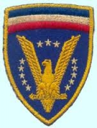 US SLEEVE INSIGNIA